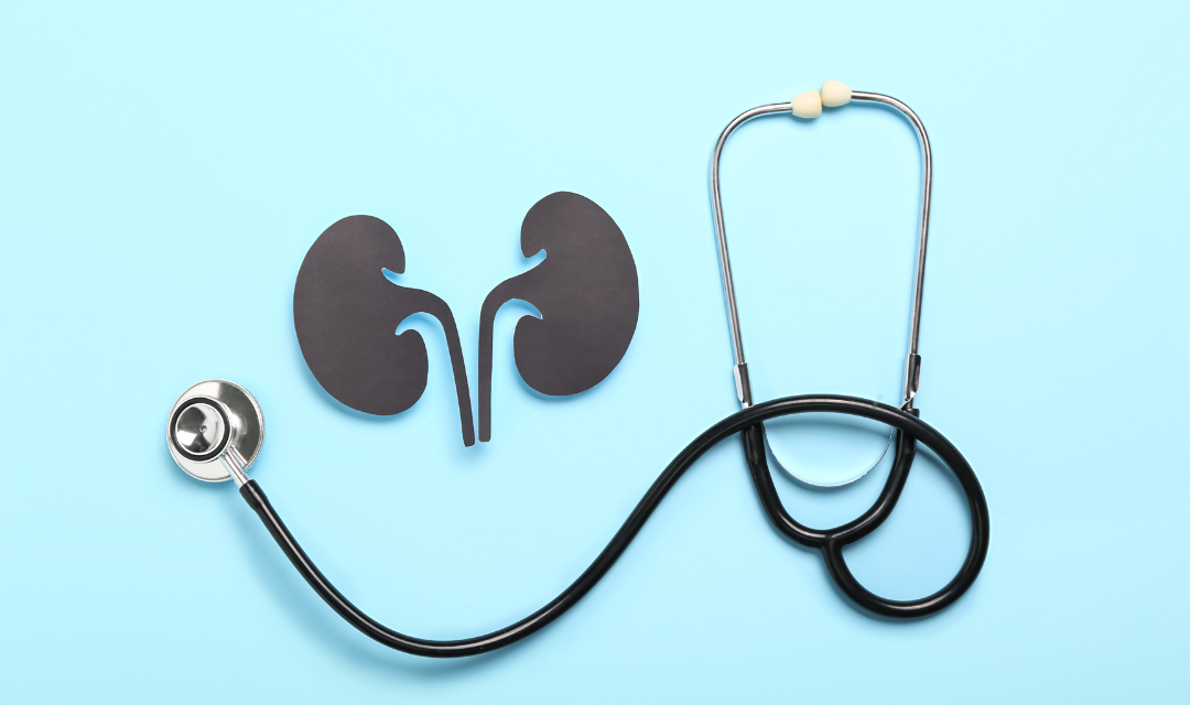 Stethoscope and kidneys